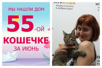 Кошечка Мусанита стала домашней за две недели!