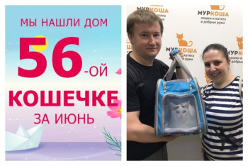 Кошечка Мачка встретила свою любящую семью!
