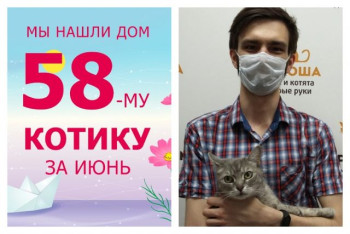 Котик Матвеюшка отправился в новый дом спустя три недели!