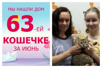 Домой уезжает кошечка Магда!