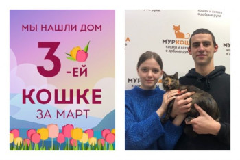 Уезжает в новый дом пятимесячная Гиджет!