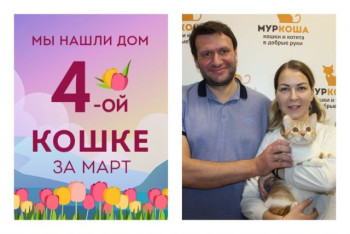 Спустя месяц уезжает в новый дом кошечка Саншайн!