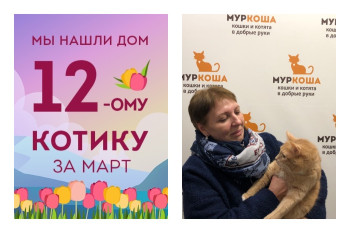 Трехлетний Вольтик начинает новую счастливую жизнь!