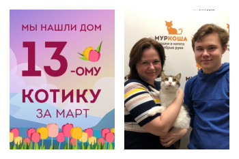Котик Тигрюша и его прекрасный розовый нос теперь домашние!