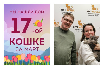 Спустя ровно месяц в приюте кошечка Светик нашла свою семью!