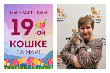 Малышка Лизетта стала домашней всего за три недели!