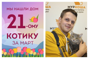 Ласковый котик Мич встретил надёжного друга!