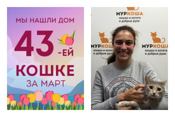 Годовалая Игарка стала домашней любимицей!