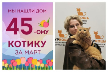 Четырехлетний Лимон стал домашним любимцем!