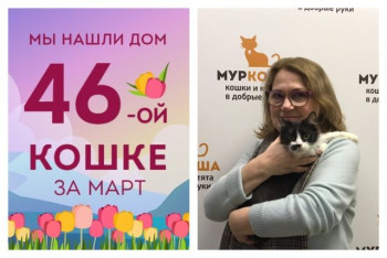 Кошечка Маргулис стала домашней за два месяца!