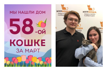 Кошечка Бэли встретила надёжных хозяев!
