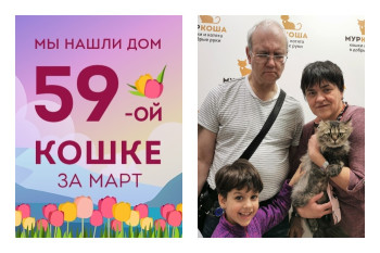 Кошка Ксандра стала частью прекрасной семьи!