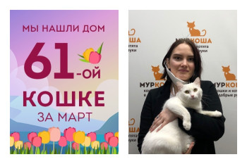 Монетка станет главным защитником уюта в новом доме!