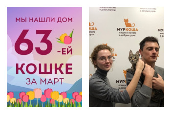 Кошечка Жужука стала домашней всего за неделю!