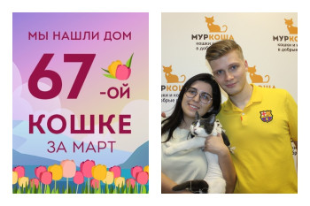 Кошечка Леонсия начинает новую жизнь!