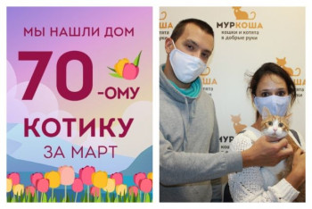 Мы смогли найти дом котику Алжиру за один месяц!