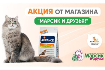 Друзья! Помогать стало проще!
