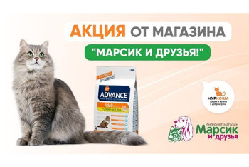 Помогать "Муркоше" стало ещё проще! Внимание, акция!