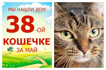 Провожаем в домашнюю счастливую жизнь милую Феофанию!