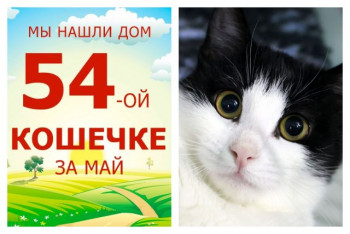 Жизнь особенной малышки Лакрицы теперь в надежных руках!