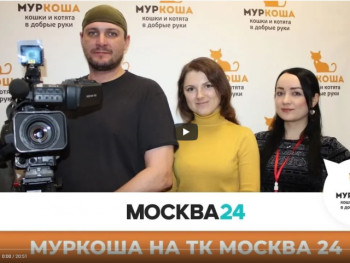 Ролик с нашим участием на ТК Москва 24