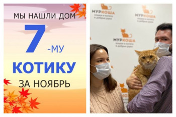 Котик Джейк уезжает в новый дом!