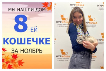 Кошечка Луня стала домашней!