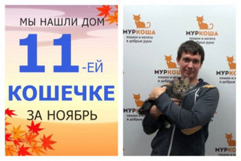 Очаровательная кошечка Зелюка встретила надёжного друга!