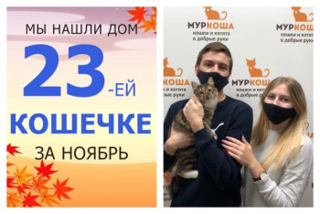 У милой Клокуши появилась дом и семья!