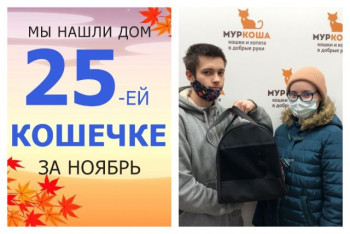 Кошечка Нацуми теперь домашняя и счастливая!