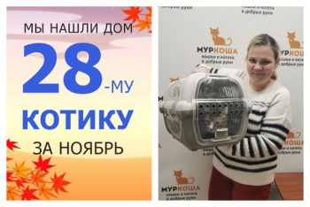 У котика Джованни появились дом и любящая семья!