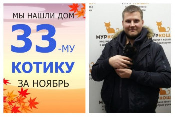 Котёнок Бивис стал домашним за две недели!