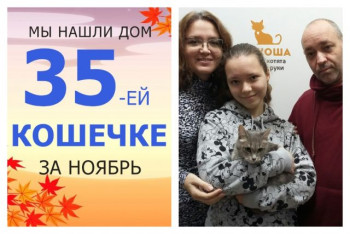 Кошечка Лунита стала частью большой и дружной семьи!