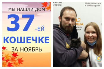 Крошка Габби теперь в надежных руках!