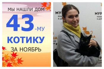 Годовалый кот Фрунзик отправился домой!