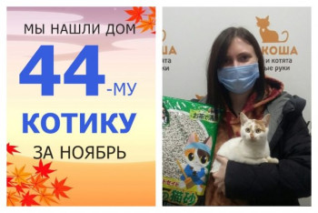 Котёнок Пятюля стал домашним всего за две недели!