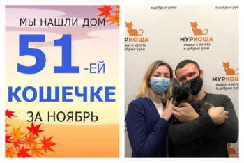 У кошечки Наташи теперь есть дом и семья!