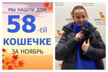 Кошечка Баю-Баюшка отправилась радоваться домашней жизни!