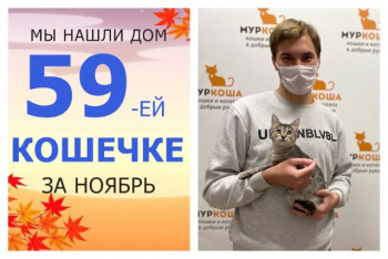 У кошечки Курточки появился заботливый хозяин!