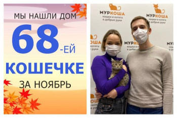 Кошечка Марисабель нашла свой дом всего за три недели!