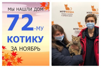 Годовалый Бендер уезжает в новый дом!