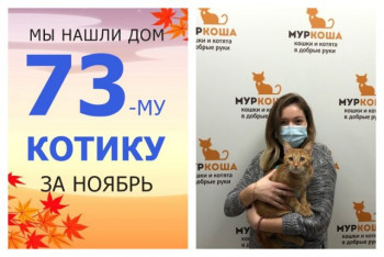 Котик Сёмка стал домашним!