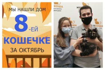 Кошечка Зося рада познакомить вас со своими хозяевами!