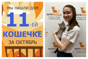 Малышка Пинта стала домашней кошечкой!