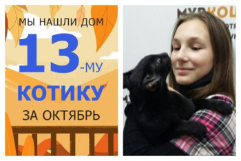 Котик Остап стал домашним всего за неделю!