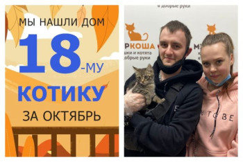 Трёхмесячный котёнок Кассио встретил свою семью!