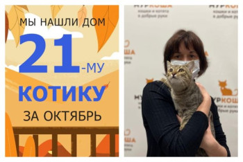 У котёнка Пирожка теперь есть дом и семья!
