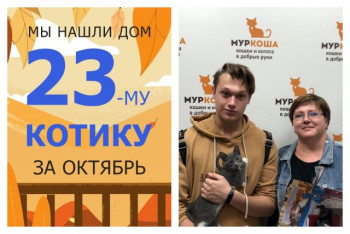 Крошка Бредли стал домашним за один месяц!