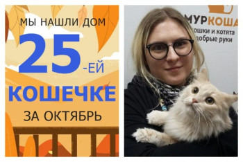 Кошечка Маргарита начинает жизнь с чистого листа!