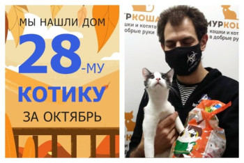 Юный Нуфнуф теперь домашний!